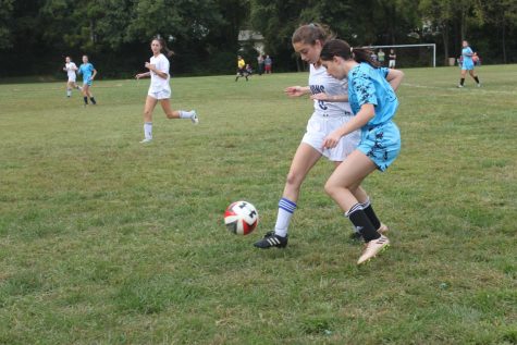 Lions’ winning streak continues in blowout win against McLean Mustangs