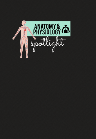Anatomy elective fleshes out body structure and function