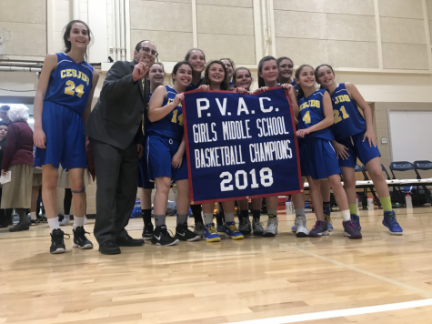Lions defeat wildcats, win PVAC championship