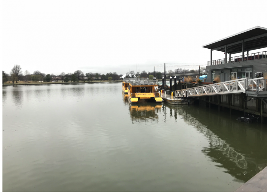 When the weather gets warmer, the Wharf will open its water activities to the public. These include kayaking, entertainment cruises and sailing. 