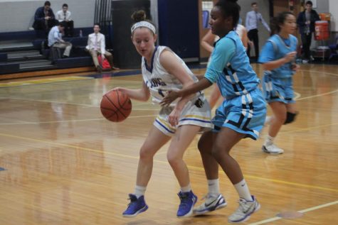 Lions were defeated in a hard battle against the McLean Mustangs