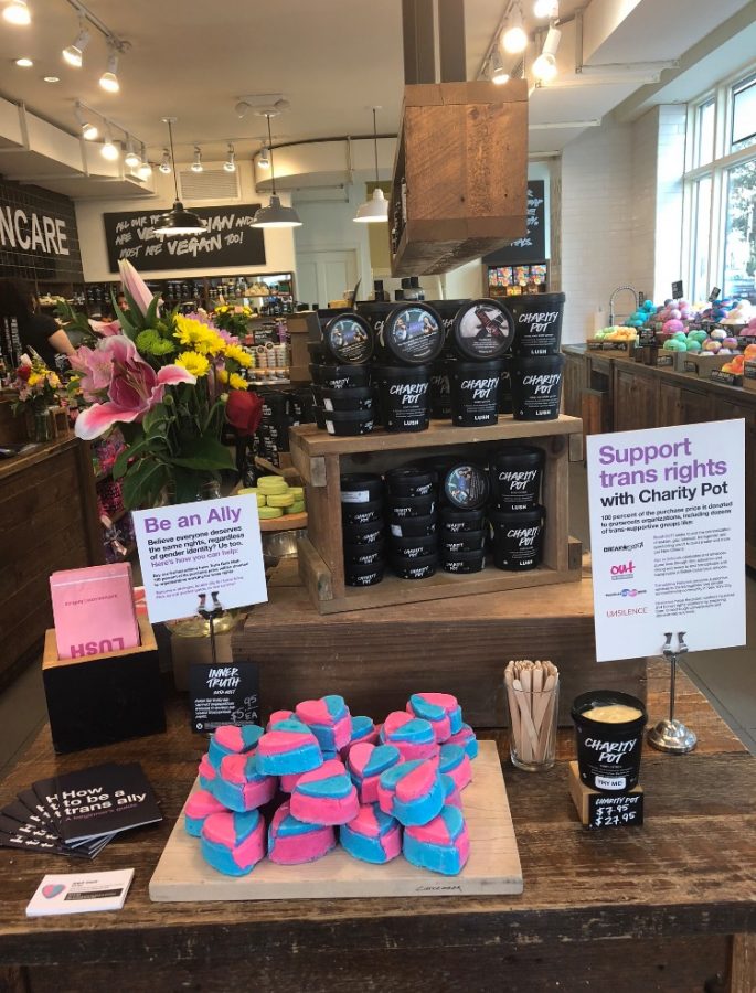 In addition to supporting anti-Israel notions, Lush works with organizations that advocate for LGBT rights and for fighting against animal cruelty.