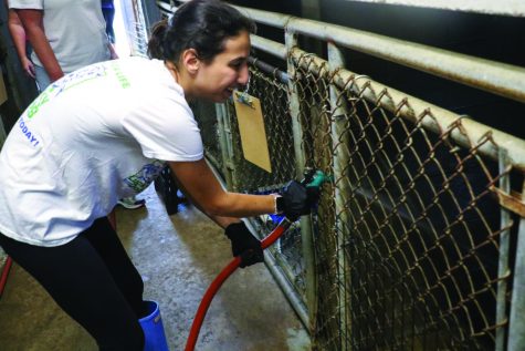 Do Good Diploma: Graduation Requirement Encourages Students to Serve Community