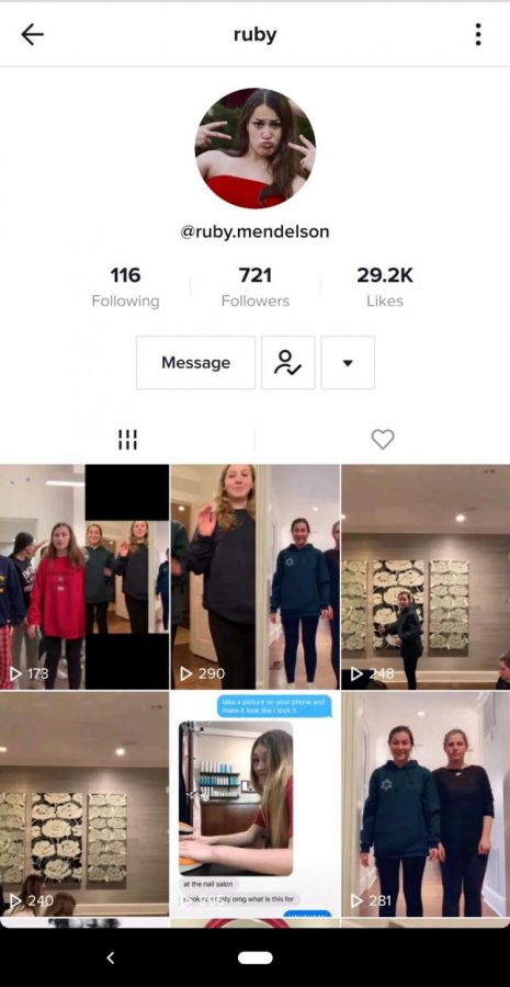 Junior+Ruby+Mendelsons+TikTok+profile+page%2C+shown+above%2C+as+well+as+her+videos%2C+have+received+several+thousand+likes.+