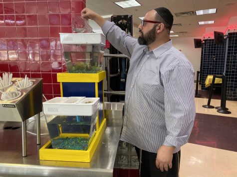 Aquaponics tank brings STEM into the cafeteria