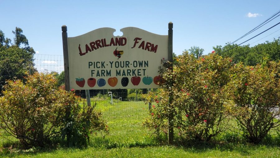 Larriland farm is based in Woodbine, Maryland, about 45 minutes north of the CESJDS Upper School campus.