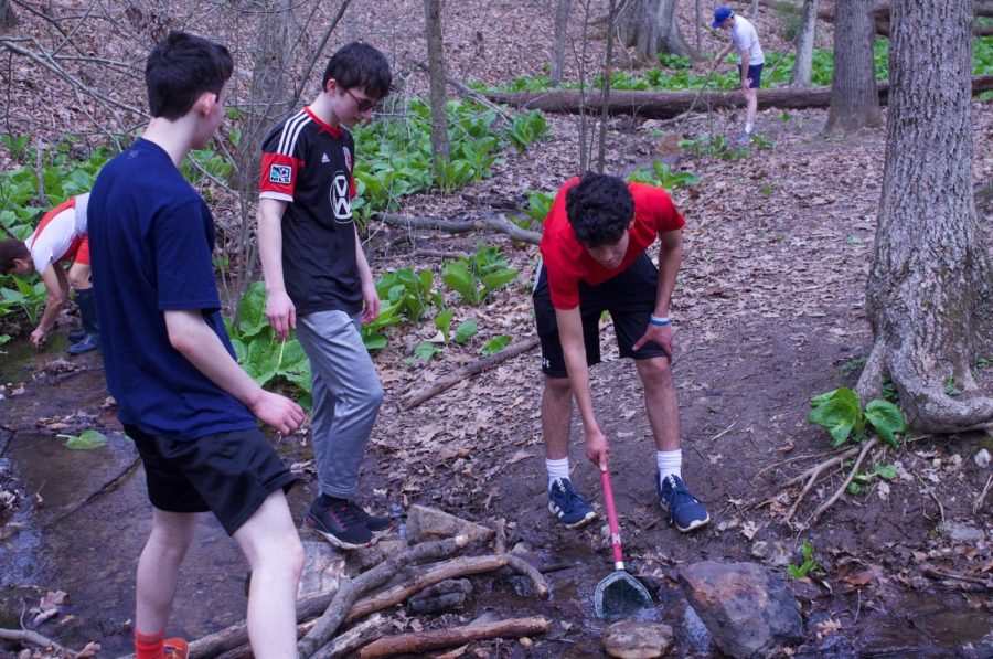 Sophomores assessed the health of the creek running through Oregon Ridge Park using the waters temperature, wildlife, and transparency. This helps students evaluate the water quality of streams nearby them and the resources to solve any potential problems. 