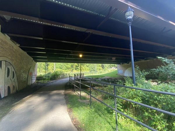 Antisemitic graffiti was found within a mile of Congregation B’nai Israel, CESJDS, Bender JCC and the Ring House on Aug. 27. 