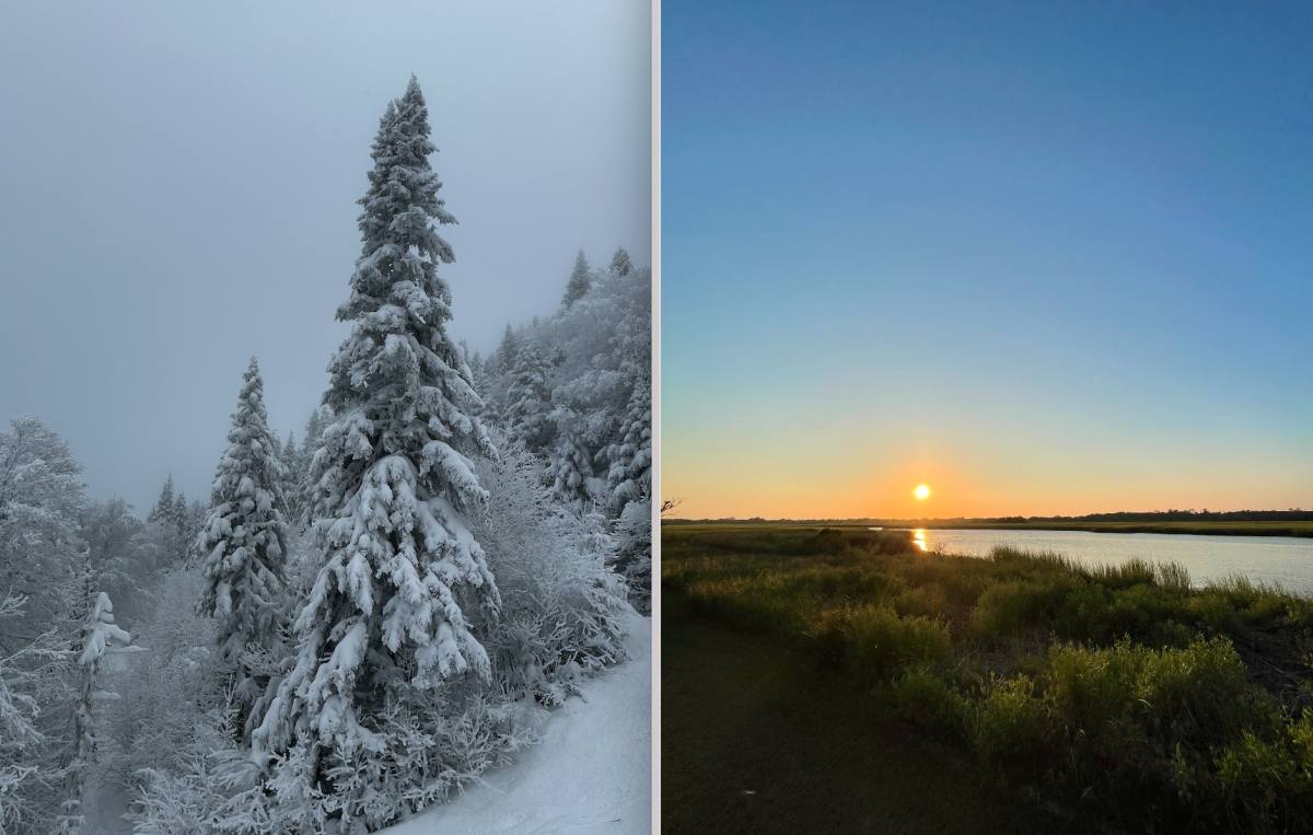 Summer vs. winter