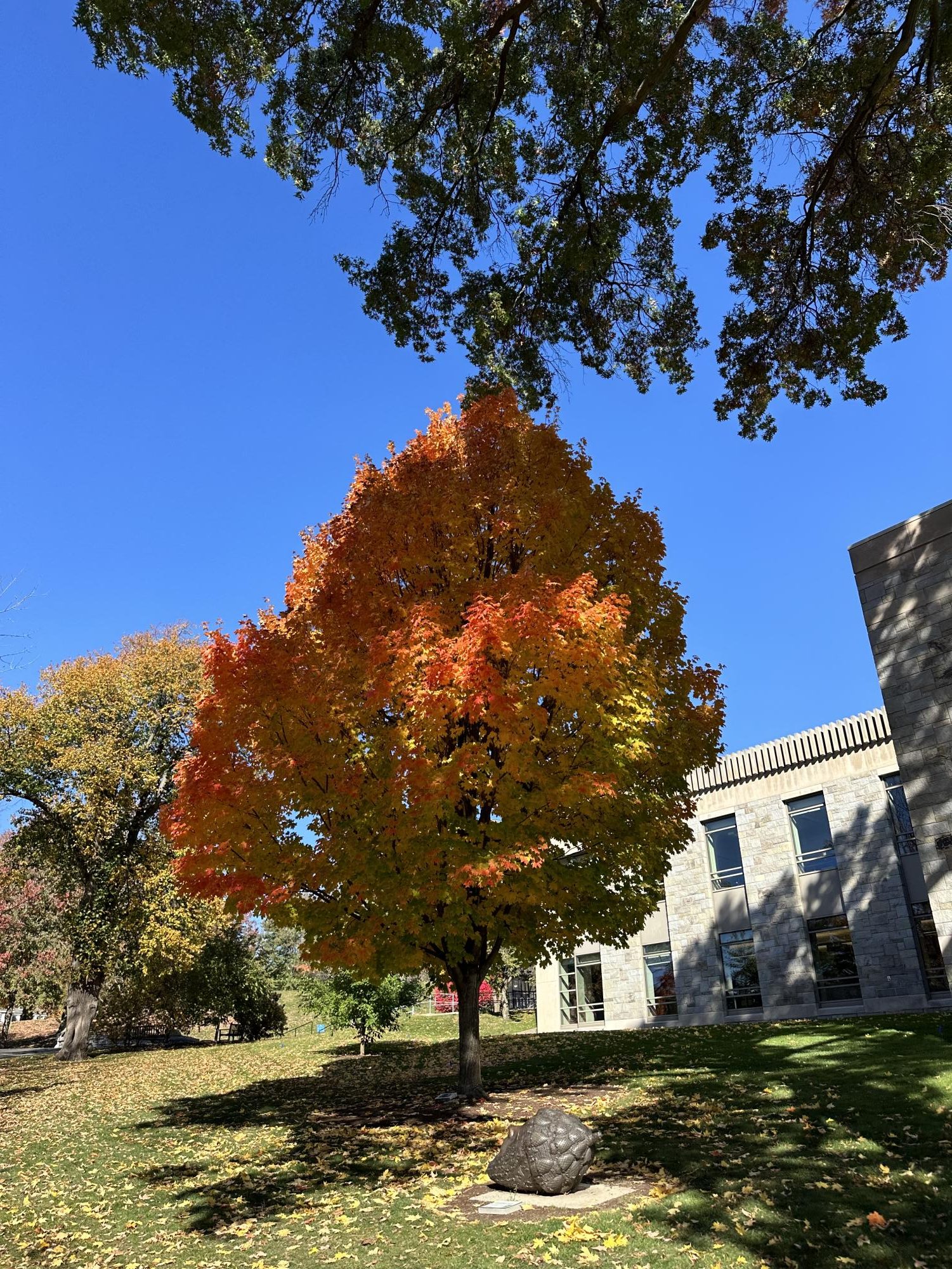 As summer transitions into fall, the leaves change into a beautiful array of colors.