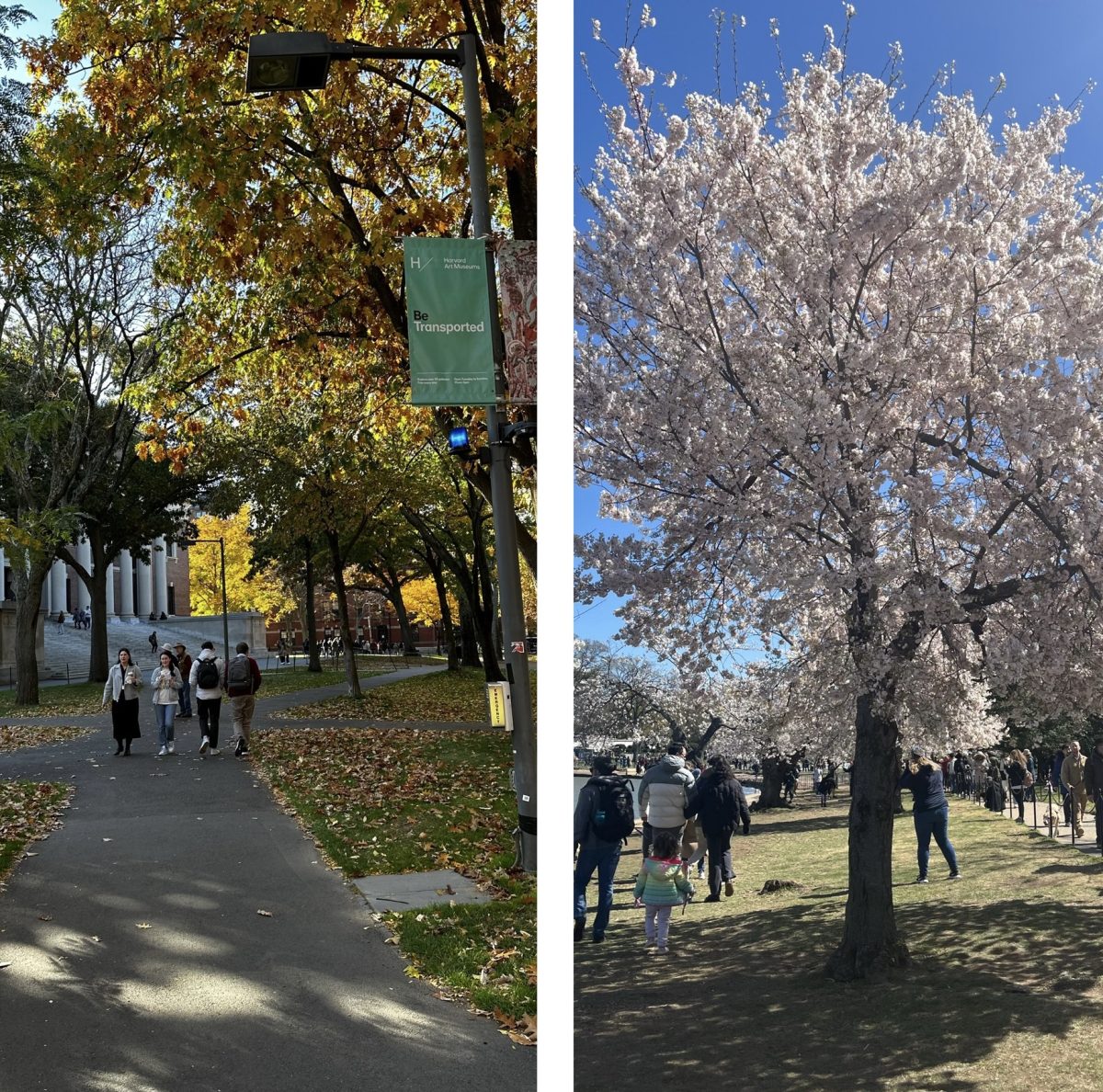 Fall vs. spring