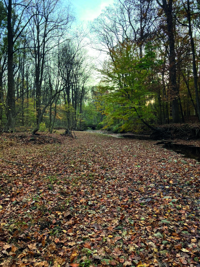Rock Creek Trail is the trail used by the CESJDS distance running team.