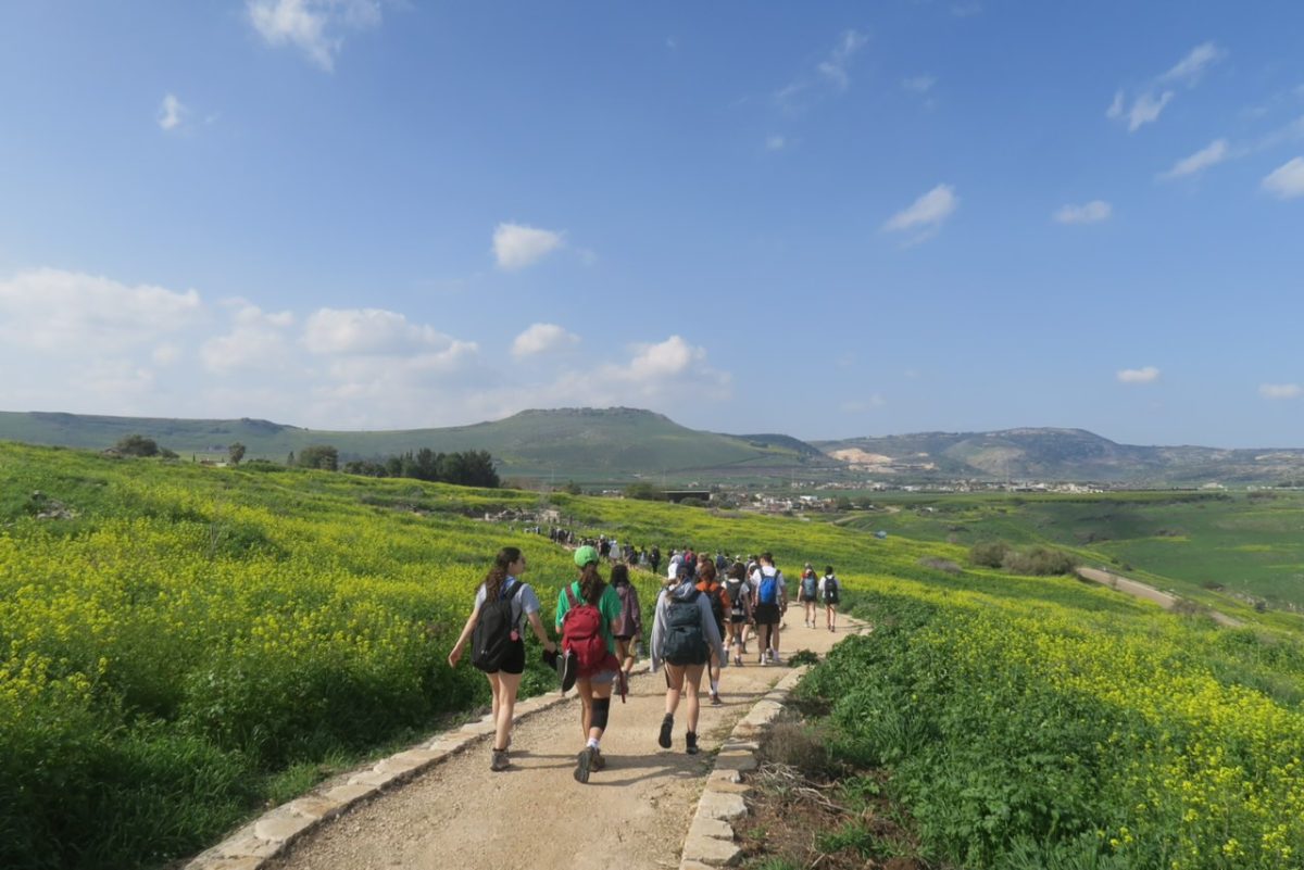 Seniors went on various hikes all around Israel as part of their programming.