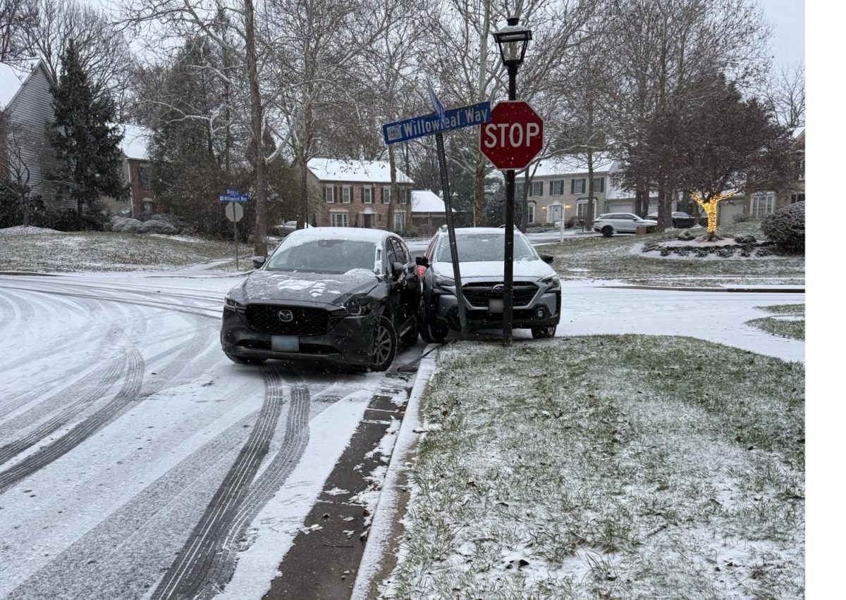 While making a right turn, Leinwand slipped across the ice into a street sign. Minutes later, a car slipped into hers. 