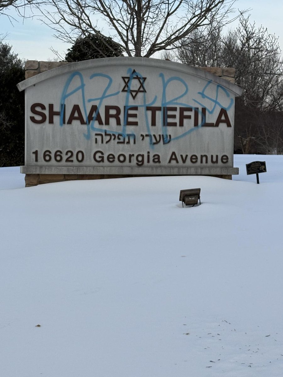 Synagogue signs were spray-painted with images of swastikas and the acronym "AZAB."