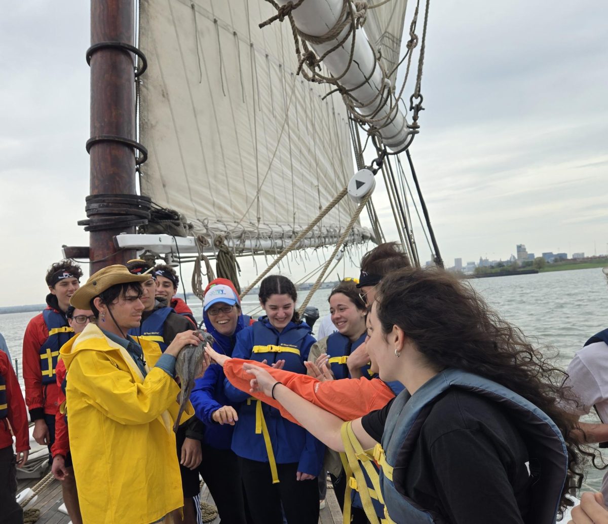 STEM fellows observe and gently touch a catfish they caught with a trawl net in the Baltimore Harbor.