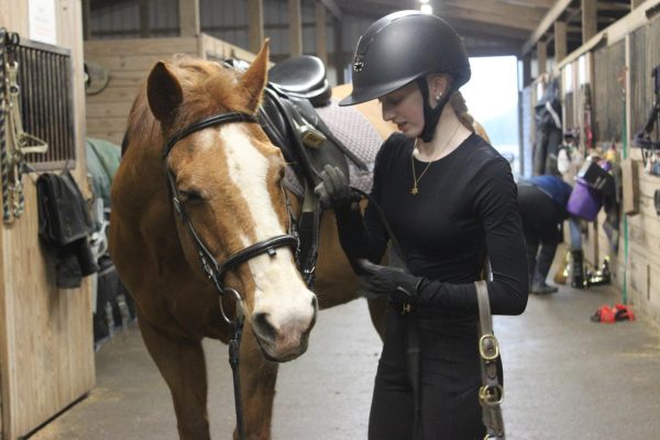 Freshman Lirone Wolf tends to her horse Hopper at a stable.